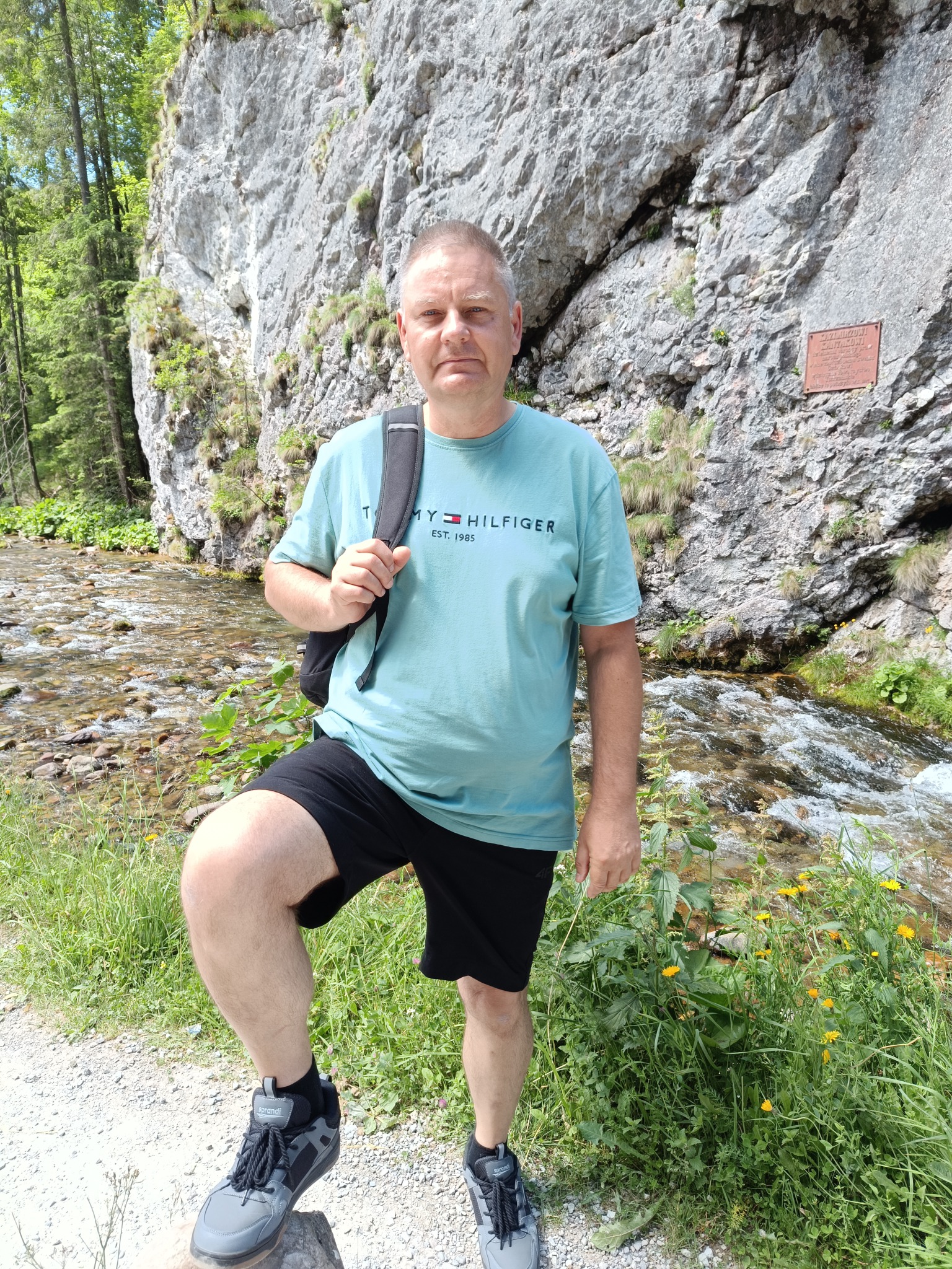 Autor Granic Zjawiska przy skale i potoku